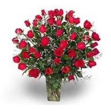 Vase 48 Red Roses